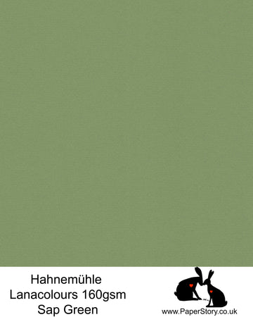Hahnemühle Lana Colours Sap Green Botanical pastel hammered paper 160 gsm. Artist Premium Pastel and Papercutting Papers 160 gsm often described as hammered paper