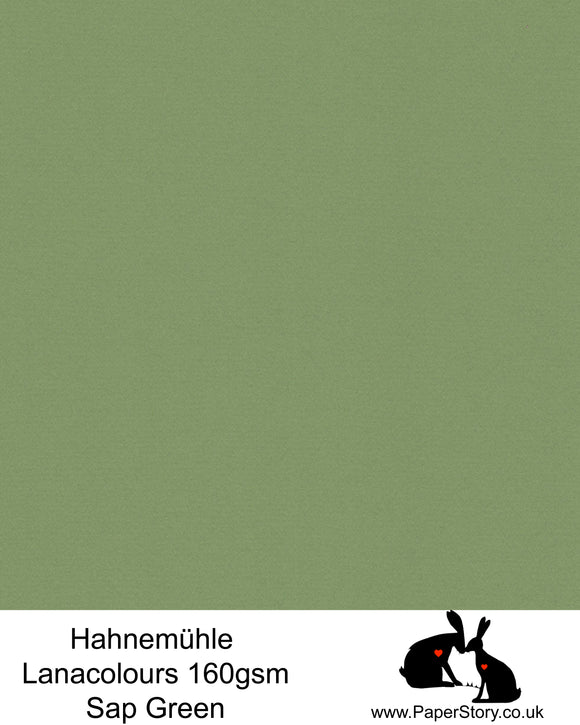 Hahnemühle Lana Colours Sap Green Botanical pastel hammered paper 160 gsm. Artist Premium Pastel and Papercutting Papers 160 gsm often described as hammered paper
