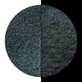NEW Finetec Coliro Pearlcolor Watercolour Paint Black Forest M040