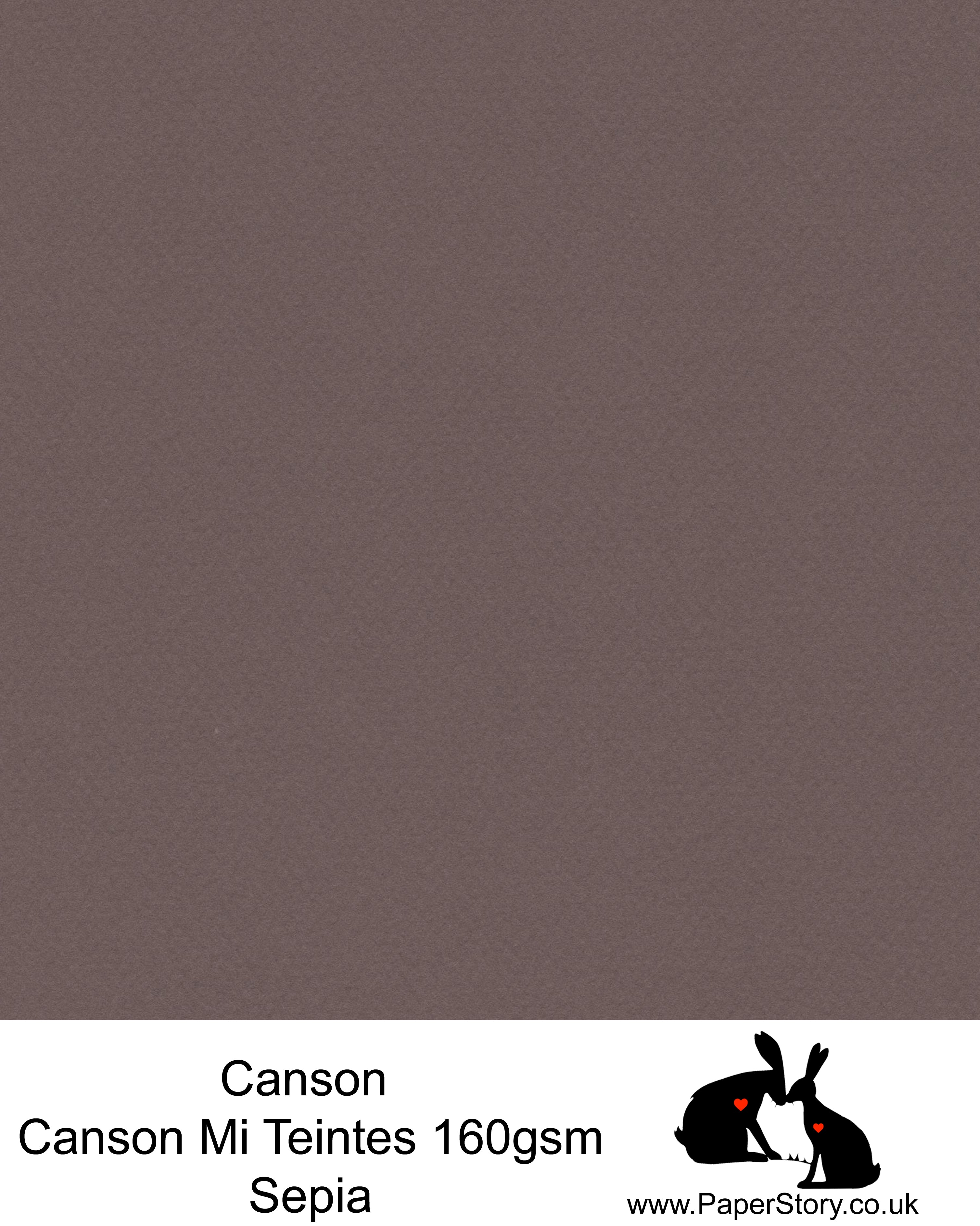 Canson Mi Teintes acid free, Sepia warm grey with a hint of brown, hammered texture honeycomb surface paper 160 gsm. This is a popular and classic paper for all artists especially well respected for Pastel  and Papercutting made famous by Paper Panda. This paper has a honeycombed finish one side and fine grain the other. An authentic art paper, acid free with a  very high 50% cotton content. Canson Mi-Teintes complies with the ISO 9706 standard on permanence, a guarantee of excellent conservation  