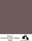 Canson Mi Teintes acid free, Sepia warm grey with a hint of brown, hammered texture honeycomb surface paper 160 gsm. 