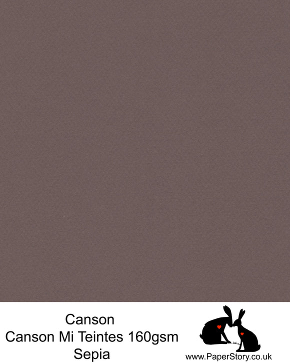 Canson Mi Teintes acid free, Sepia warm grey with a hint of brown, hammered texture honeycomb surface paper 160 gsm. This is a popular and classic paper for all artists especially well respected for Pastel  and Papercutting made famous by Paper Panda. This paper has a honeycombed finish one side and fine grain the other. An authentic art paper, acid free with a  very high 50% cotton content. Canson Mi-Teintes complies with the ISO 9706 standard on permanence, a guarantee of excellent conservation  
