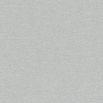 Stardream Silver Pearlescent Paper : Silver 120 gsm