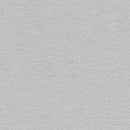 Stardream Silver Pearlescent Paper : Silver 120 gsm