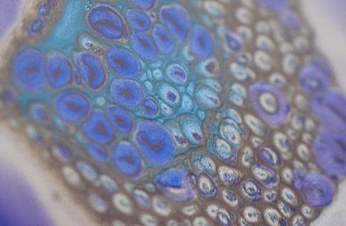 Pebeo mixed media paint : Fantasy Prisme